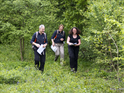 Rando-challenge Régional