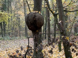 Rando Tonique à la Poudrerie par Christian