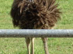 Rando tonique Pomponne par Jacques