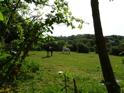 Rando tonique Pomponne par Jacques