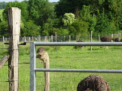 Rando tonique Pomponne par Jacques