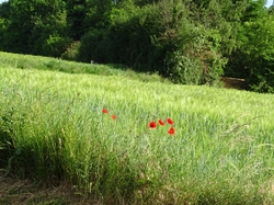 Rando tonique Pomponne par Jacques