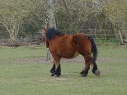 Rando à Pontarmé par Jacques
