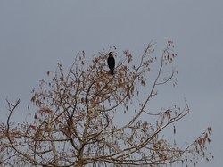 Rando à Pontarmé par Jacques