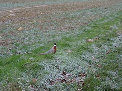 Rando à Pontarmé par Jacques