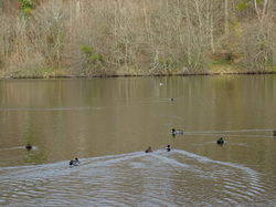 Rando à Pontarmé par Jacques