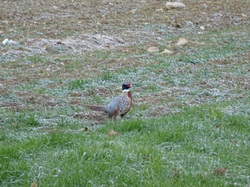 Rando à Pontarmé par Jacques