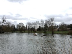 Randonnée à Marolles en Brie par Sylvie