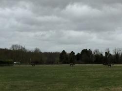 Randonnée à Marolles en Brie par Sylvie