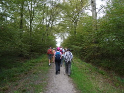 Randonnée de rentrée autour de Roissy en Brie