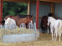 Randonnée de rentrée à Crécy la Chapelle et Bouleurs par Jacques