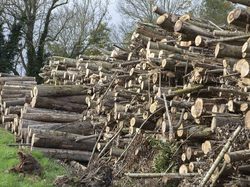 Randonnée à Ermenonville par Claude