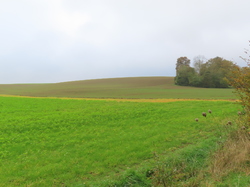 Randonnée à Ermenonville par Jacques