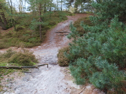 Randonnée à Ermenonville par Jacques