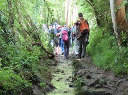 Saint Céneri et Saint Léonard