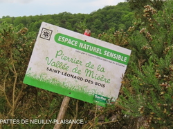 Saint Céneri et Saint Léonard