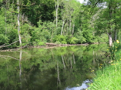 Saint Céneri et Saint Léonard