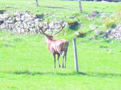 Saint Jean aux Bois - Pierrefond par Jacques