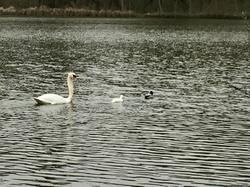 Saint-Jean aux Bois, Pierrefonds par Sylvie