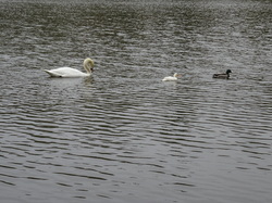 Saint-Jean aux Bois, Pierrefonds