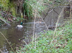 Saint-Jean aux Bois, Pierrefonds