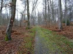 Saint-Jean aux Bois, Pierrefonds