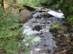 Séjour à Sixt: mardi 2 juillet. Sur les hauteurs de Samoëns par Serge