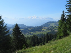 Séjour à Sixt: vendredi 5 juillet promenade de santé autour du Lac du Roy par Serge