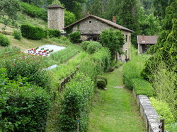 Séjour en Auvergne: Ambert et le moulin Richard de Bas par Jacques