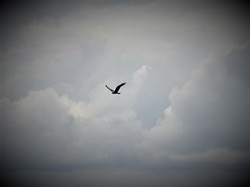 Séjour en Auvergne: autour de Bertignat par Jacques