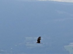 Séjour en Auvergne: autour de Bertignat par Jacques