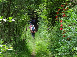 Séjour en Auvergne: autour de Bertignat par Jacques