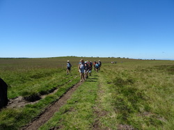Séjour en Auvergne: les Hautes Chaumes et le col des Supeyres