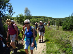 Séjour en Auvergne: les Hautes Chaumes et le col des Supeyres