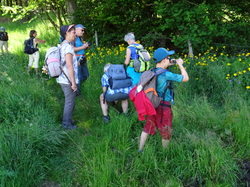 Séjour en Auvergne: les Hautes Chaumes et le col des Supeyres