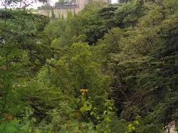 séjour en Corrèze par Serge