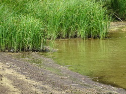 séjour Jura: premier jour par Jacques