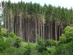 Séjour Jura: troisième jour par Jacques