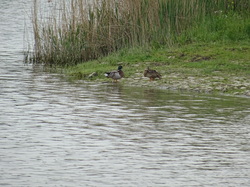 Séjour Vendée Jour 1 par Jacques