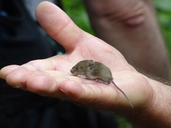 Séjour Vendée: Jour 2 par Jacques