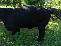 Séjour Vendée: Jour 3 par Jacques