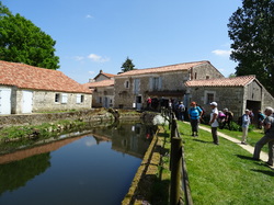 Séjour Vendée: Jour 3 par Jacques