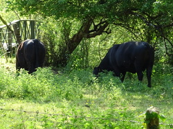 Séjour Vendée: Jour 3 par Jacques