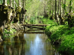 Séjour Vendée: Jour 3 par Jacques