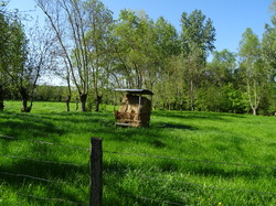 Séjour Vendée: Jour 3 par Jacques