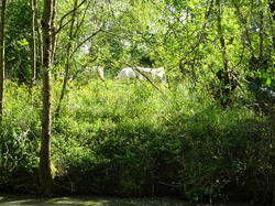 Séjour Vendée: Jour 3 par Jacques