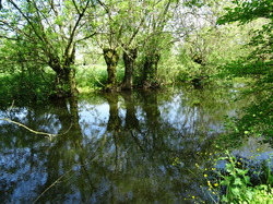 Séjour Vendée: Jour 3 par Jacques