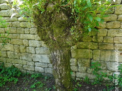 Séjour Vendée: Jour 3 par Jacques