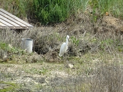 Séjour Vendée: jour 5 par Jacques