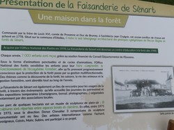 Soisy sur Seine-Forêt de Sénart par Jacques